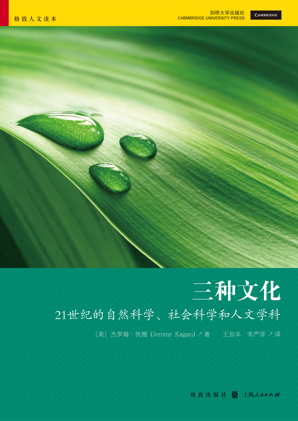 顾悦